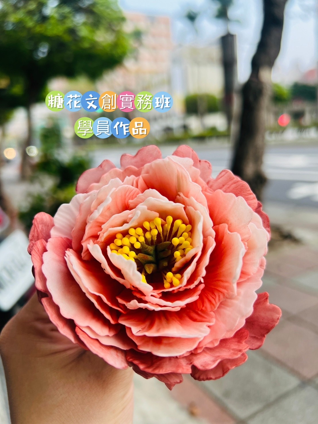 S__57270284.jpg S__57270284.jpg