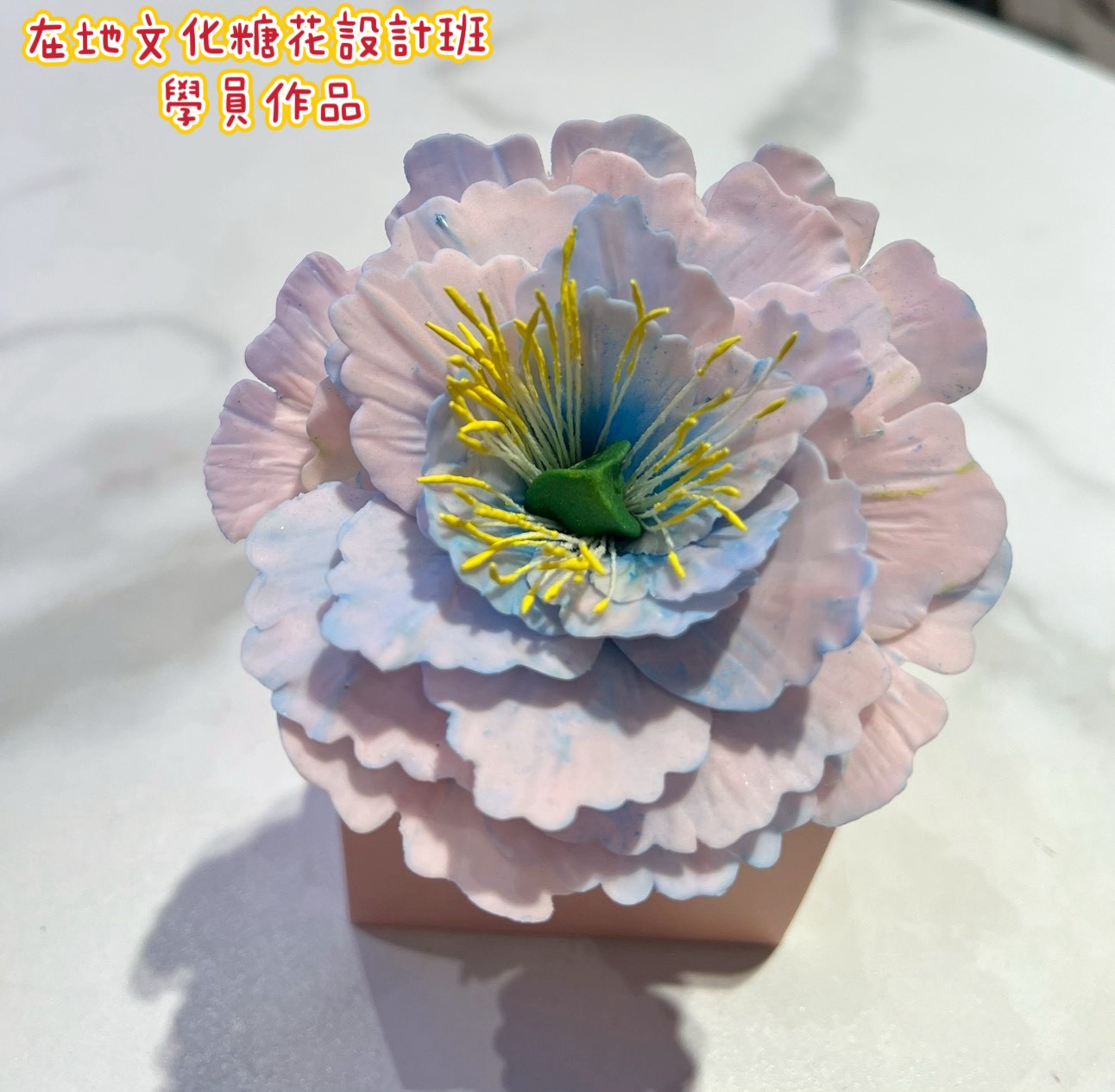 line_oa_chat_260519_090525_group_7.jpg