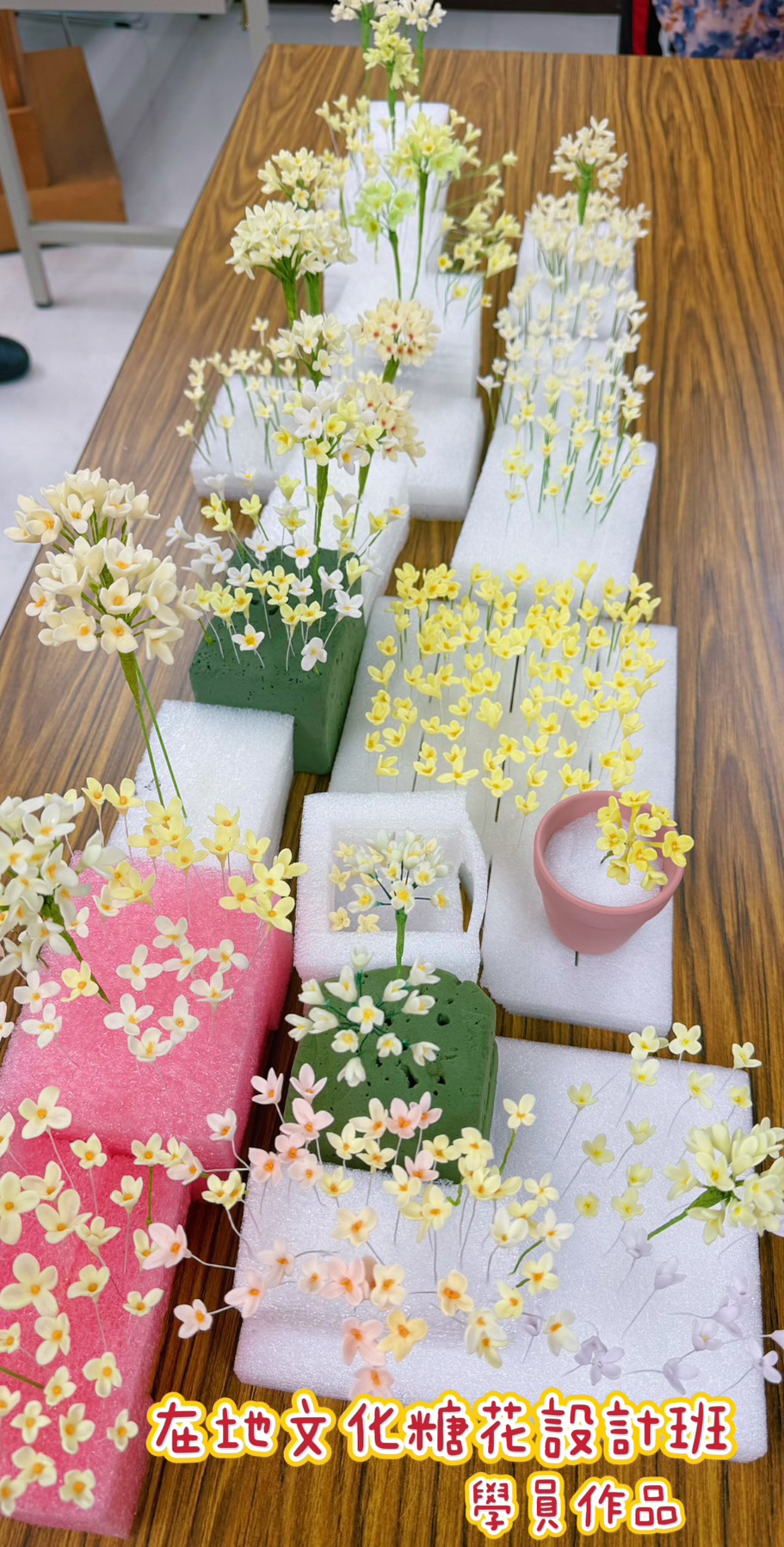 S__97050630.jpg