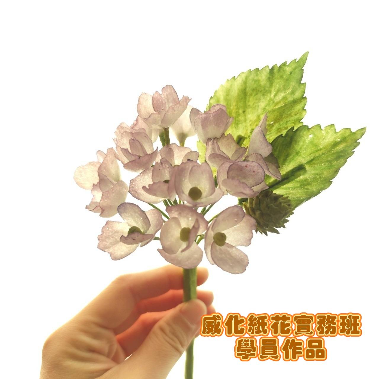 line_oa_chat_241203_104116_group_7.jpg